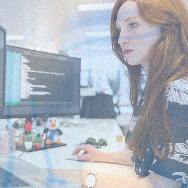 Desarrollo Web a la Medida